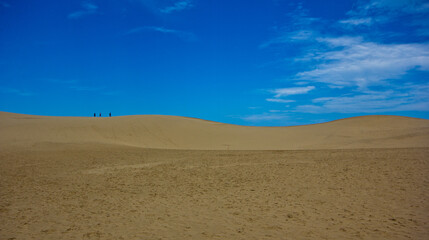 Fototapeta na wymiar desert dunes skyline in front of blue sky 