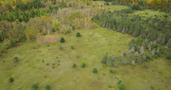 woods flyover