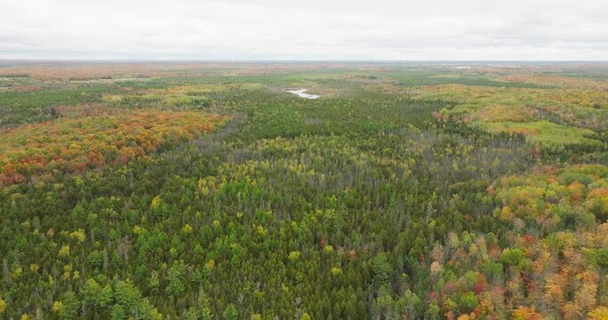 shallow lake flyover