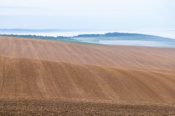 Fototapeta premium Pre-Dawn Serenity in Moravian Countryside