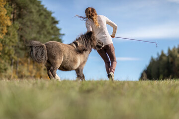 Natural Horsemanship concept: Cute portrait of a young woman and her pony working and interacting...