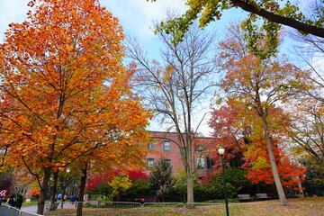 University of Pennsylvania Fall colorful foliage autumn landscape	
