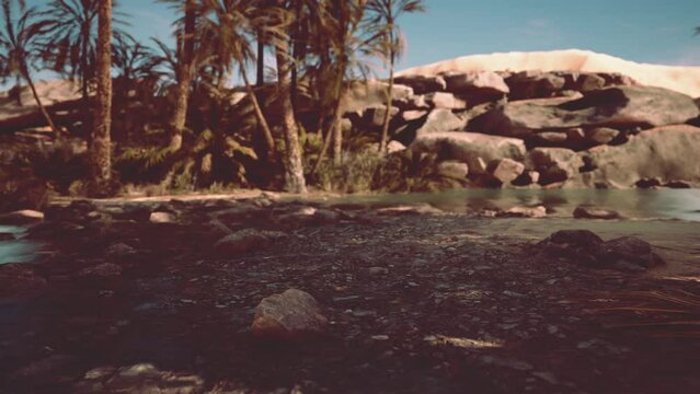 Oasis lake in desert surrounded high yellow sand dunes