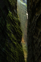 Lush thick green moss covering solid rock, Adrspach rocks, Czech Republic