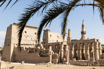 looking through palm trees towards the ruins of Luxor Temple in Egypt