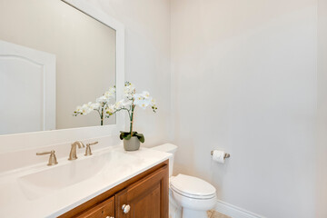 a home bathroom 