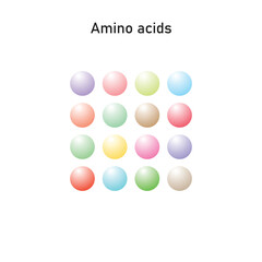 Amino Acids Molecules Scientific Design. Vector Illustration.