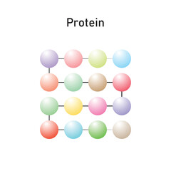 Protein Molecule Scientific Design. Vector Illustration.