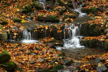 Fototapeta na wymiar Flowing river with small waterfalls with leaves in autumn colors.