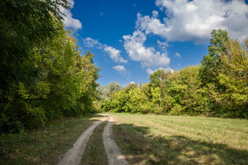 Panorama of a dirtpath in a clearing meadow with grass and grassland in the middle of forest and trees of the Duna Drava Nemzeti Park in Mohacs, Hungary. It's a Hungarian National Park.