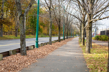 Separated bike lane along the main road on an autumn day in Watertown, MA, USA
