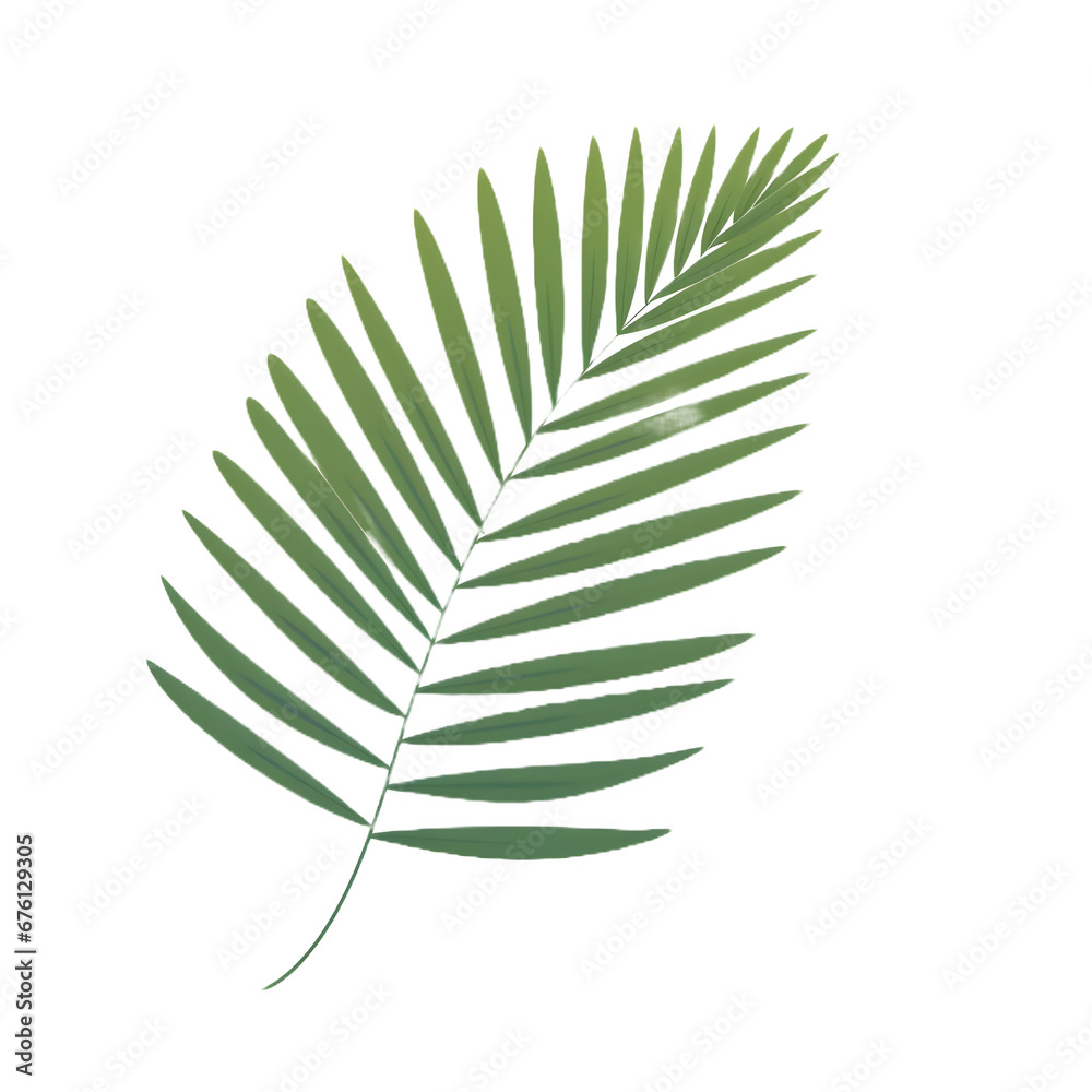 Canvas Prints palm leaf illustration