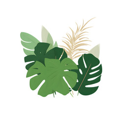 Fototapeta na wymiar tropical Foliage leaf illustration