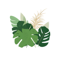 Rolgordijnen Monstera tropical Foliage leaf illustration