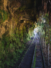 Abandoned mining railway along the Charming Creek Walkway, New Zealand