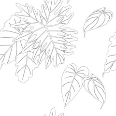 Philodendron leaves pattern line art for decorate your designs with tropical illustration isolated on white background