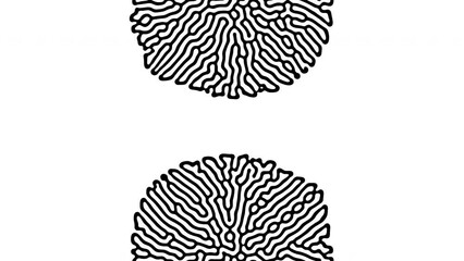 Reaction diffusion organic growing pattern. Cell division science background.