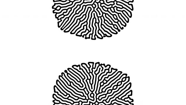 Reaction diffusion organic growing pattern. Cell division science background.