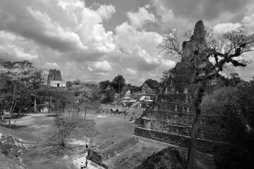 The archaeological site of the pre-Columbian Maya civilization in Tikal National Park , Guatemala The park is UNESCO World Heritage Site since 1979