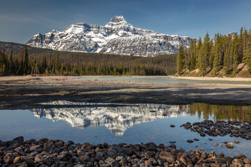 The Athabasca River flows along the stunning Icefield Parkway