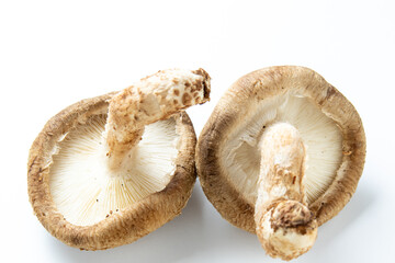 しいたけ(生椎茸)。傘の裏側(ヒダがある)方向から見たもの。(白バック)
