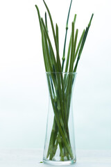 Branch of flowers arranged together for decoration