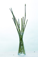 Branch of flowers arranged together for decoration