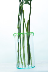 Branch of flowers arranged together for decoration