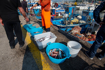 Fishing Industry in the Port