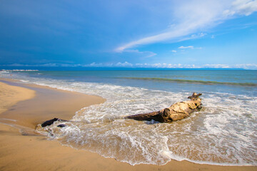 A lovely beach scenery with a wooden log in Bucerías town