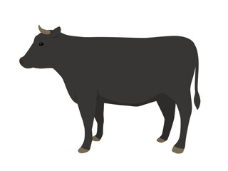 牛のベクターイラスト（黒毛）