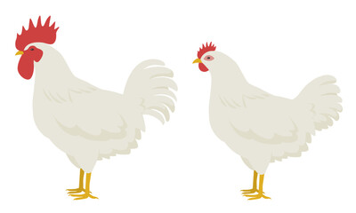鶏のベクターイラスト（雄鶏と雌鶏）