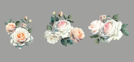Beautiful white roses bouquet isolated on grey background