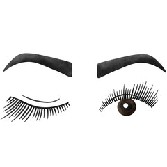 Eyelash, Lash extension, Lashes