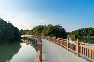 Fototapeta premium stone footbridge in an Asian garden