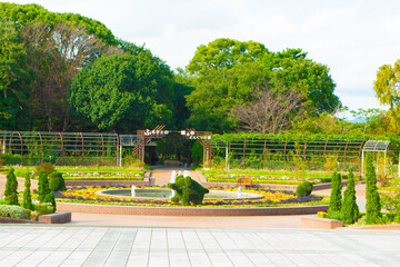 のんほいパーク屋外植物園の大花壇