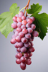Fototapeta premium Portrait of grape. Ideal for your designs, banners or advertising graphics.
