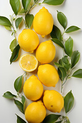 Portrait of lemons. Ideal for your designs, banners or advertising graphics.
