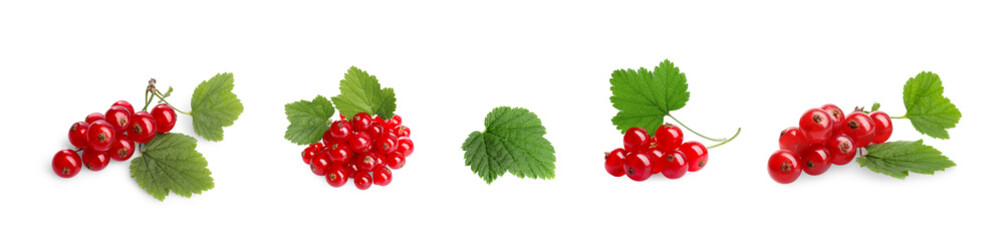 Ripe red currants and green leaves isolated on white, set