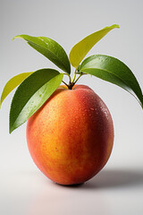 Obraz premium Portrait of mango. Ideal for your designs, banners or advertising graphics.