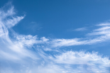 fluffy cirrus clouds in the blue sky. 
