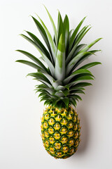 Fototapeta premium Portrait of pineapple. Ideal for your designs, banners or advertising graphics.