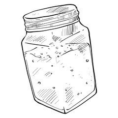 sea salt handdrawn illustration