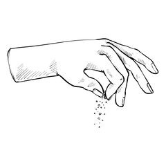 salt handdrawn illustration