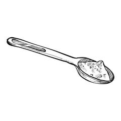 a spoonful of salt handdrawn illustration