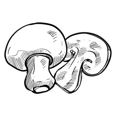 bbq mushroom handdrawn illustration
