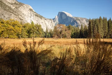 Photo sur Plexiglas Half Dome View of Half Dome in Yosemite Valley, Yosemite National Park, California, fall colors