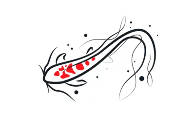 Fotobehang Koi Fish Logo. © cidcud graphic