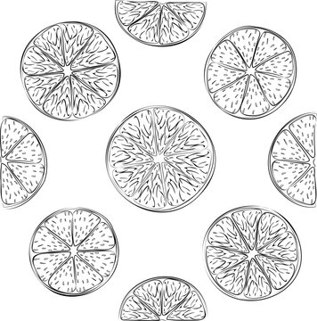 Line art illustration of fresh lime slices. 
Vector illustration of fresh citrus cuts of nine lime pieces. Image of summer fruit salad of lime slices in vector. Illustrations of citrus tropical fruits