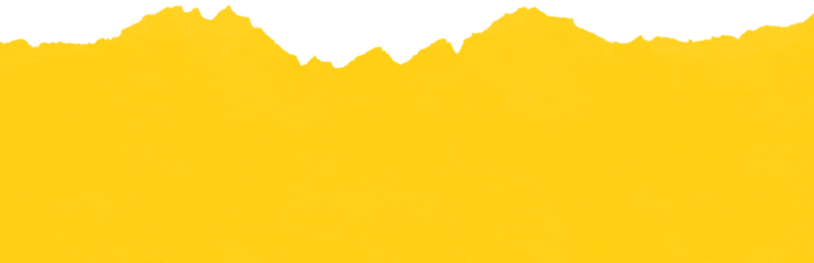 Torn Paper Texture Overlay